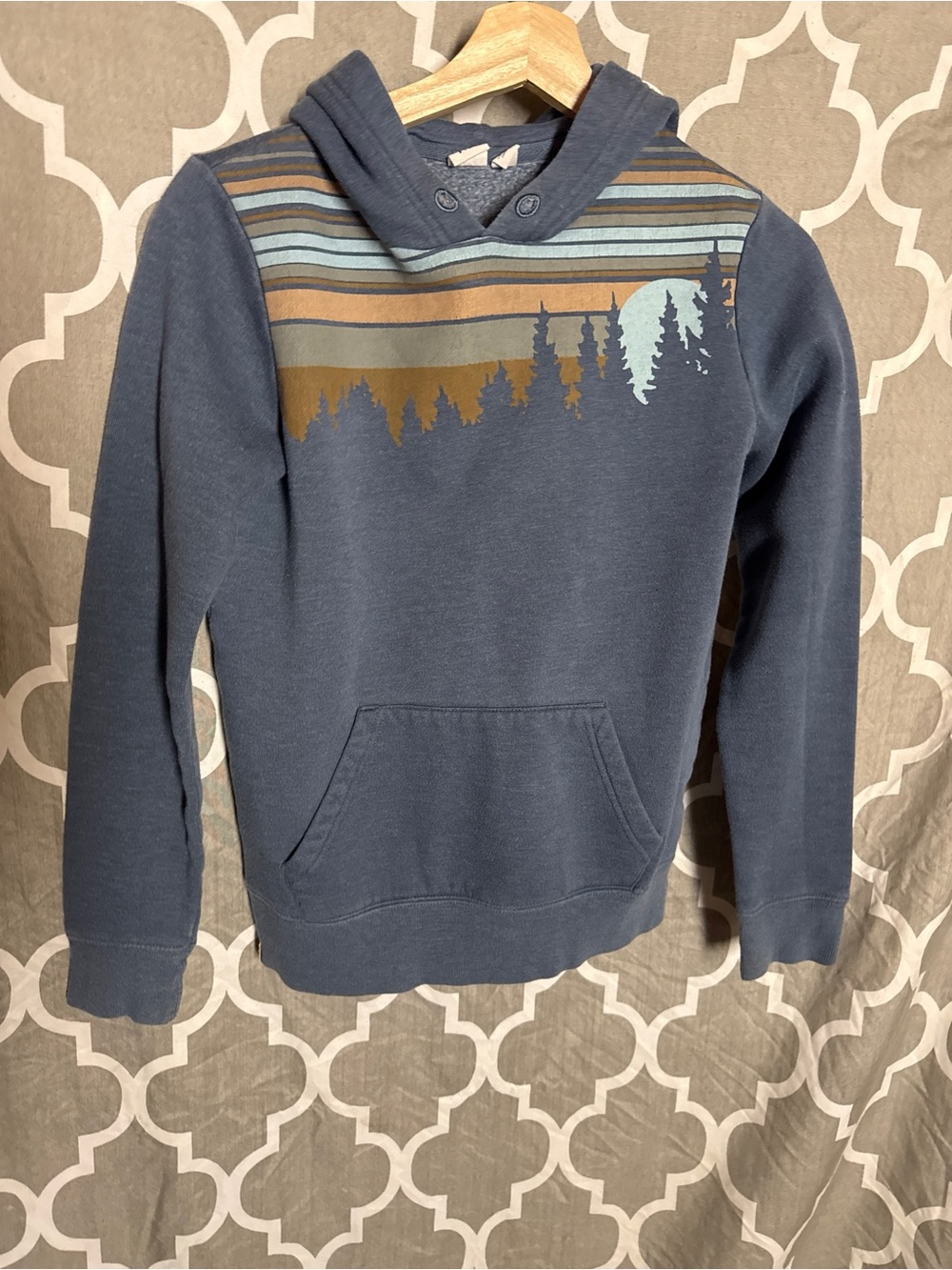 Tentree Blue Landscape Graphic TreeFleece Hoodie Youth Size 10 / XS